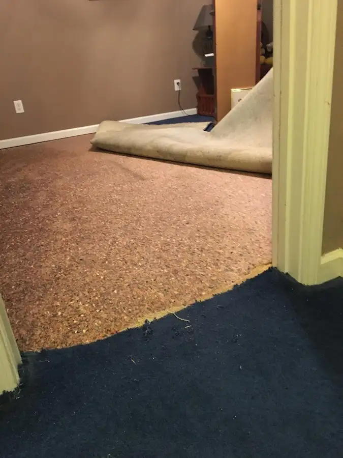 Carpet pad removal revealing water damage during Water Mitigation Services in Lake Ridge